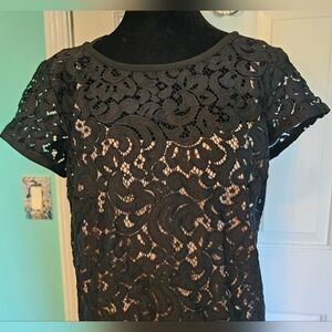 LOFT Black and Tan Lace Mini Dress Women's Size 6